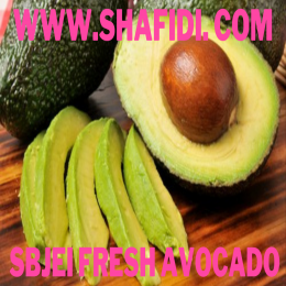 SBJEI-FRESH AVOCADO